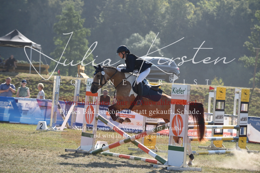 DSC_5987 | Pferde- und Turnierfotografie in Westsachsen. Pferdeportraits, Auftragszeichnungen und intuitive Kunst.