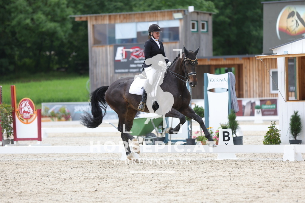 0P6A4477 | Willkommen bei Brunnmayr - Design & Fotografie – Ihrem Spezialisten für Reitturniere und Pferdeveranstaltungen in Oberösterreich, Salzburg und Bayern! Seit über 17 Jahren sind wir leidenschaftlich dabei.