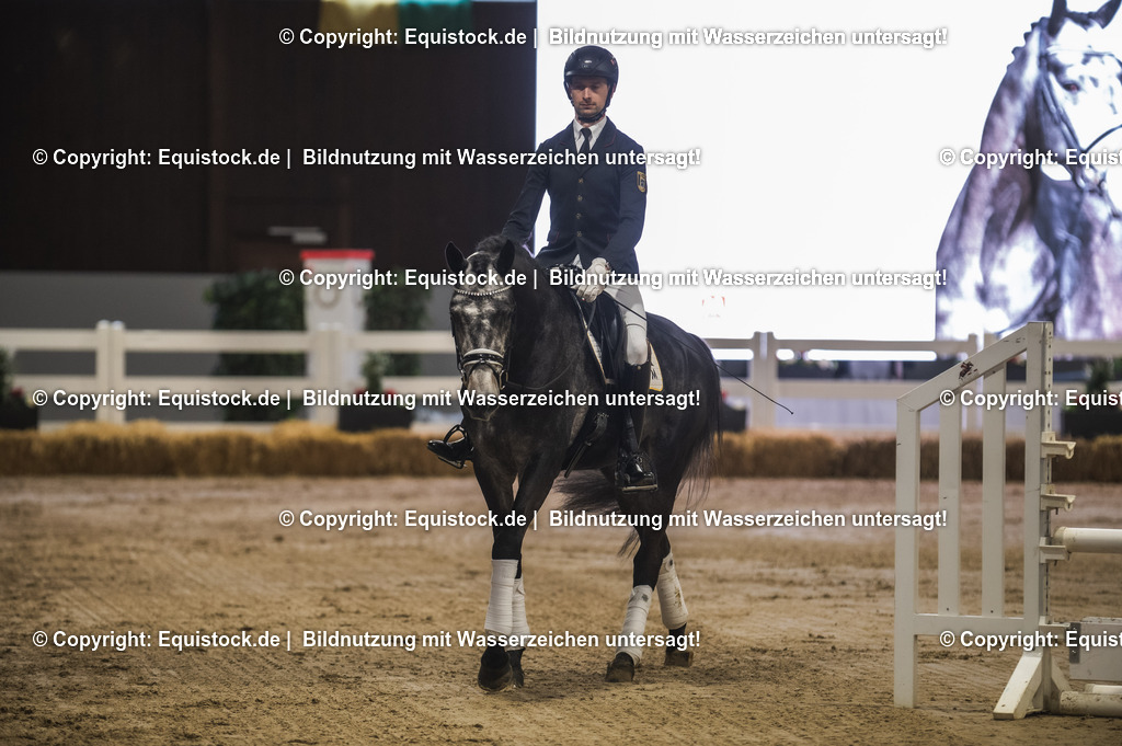 20240302_Hengstvorstellung_Marbach_TOMsPiC_0197 | equistock