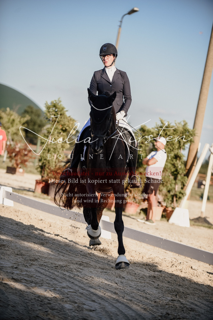 DSC_0752 | Pferde- und Turnierfotografie in Westsachsen. Pferdeportraits, Auftragszeichnungen und intuitive Kunst.