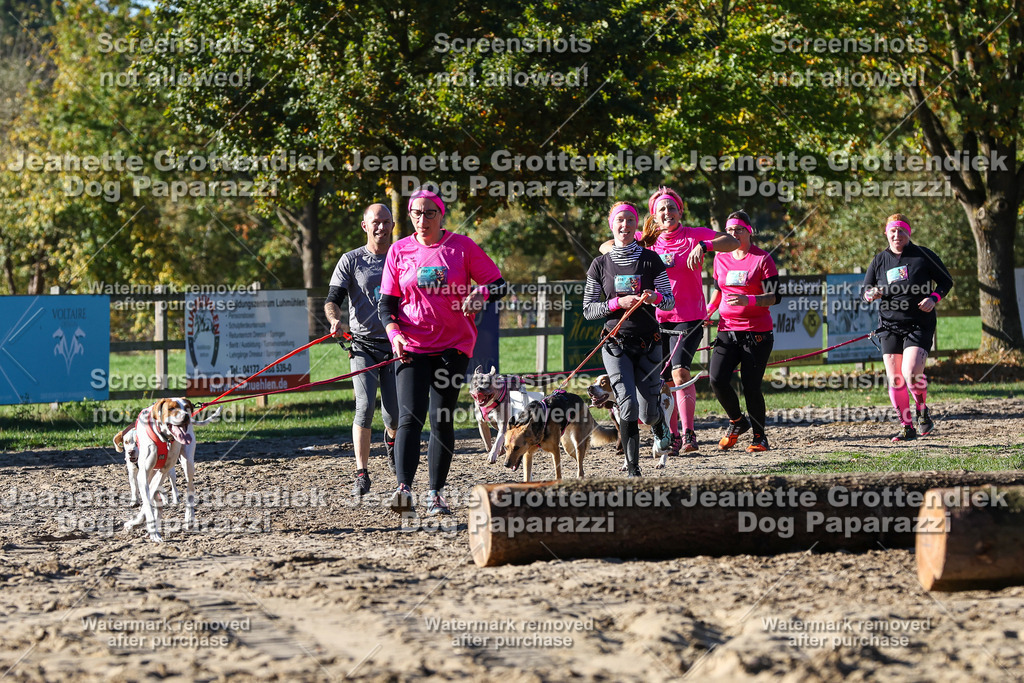 Dog Paparazzi - Strongdog 10-25-1937 | Dog Paparazzi Jeanette Grottendiek Fotografie & Videografie - Realisiert mit Pictrs.com