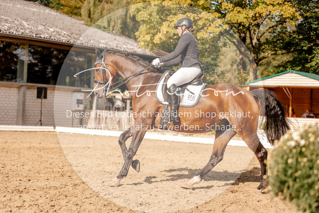 3I6A3160 | Stimmungsvolle Portraits und Reitsportfotografie im Ruhrgebiet und im Münsterland.

Pferdefotografie, Hundefotografie, Tierfotografie, Reportagen, Portraits von Tier und Mensch, Turnierfotografie in Bochum, Recklinghausen, Marl, Haltern am See, Dülmen.. - Realisiert mit Pictrs.com