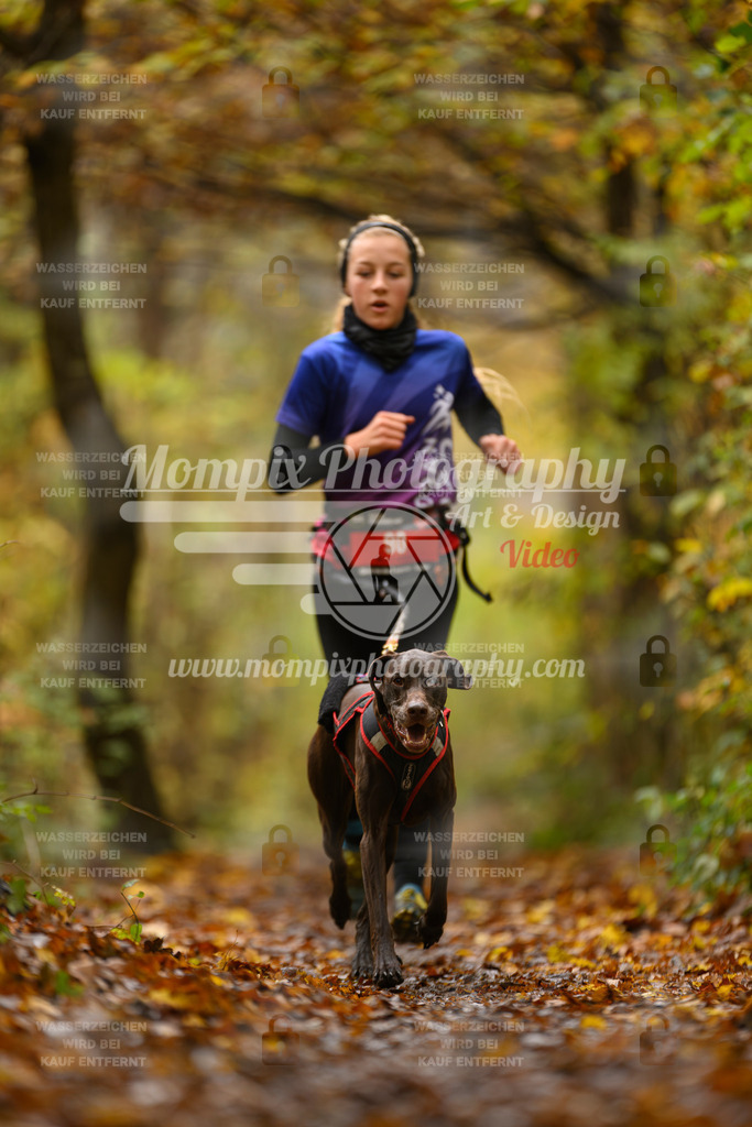 MompixPhotography_CD7S_DI_CCL-85 | mompixphotography