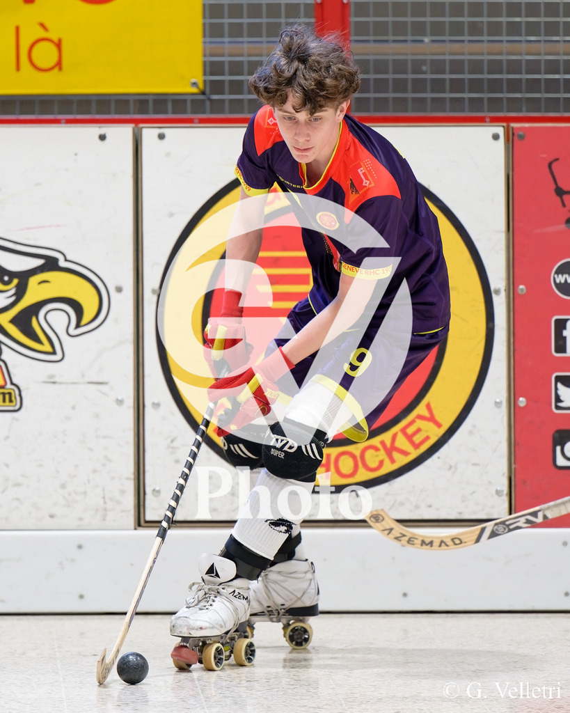 DSC_6121 | Velletri Photo