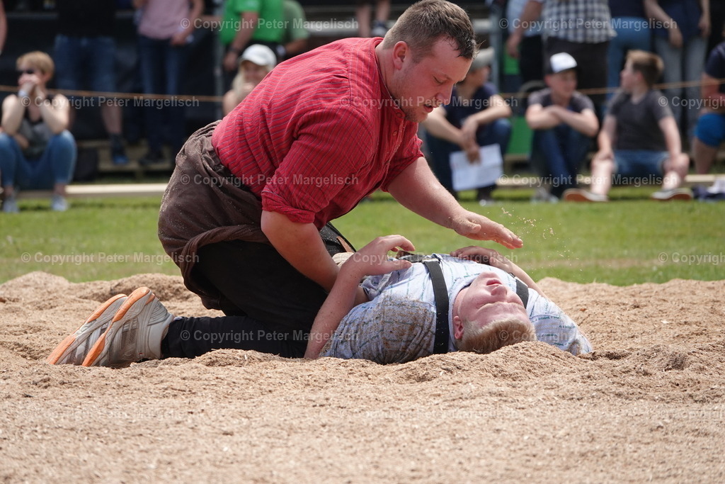 DSC04612 | Schwingen - Realisiert mit Pictrs.com