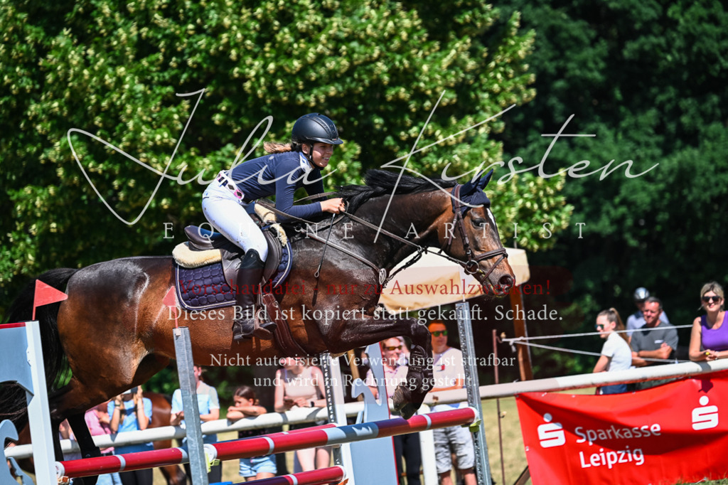 DSC_1323 | Pferde- und Turnierfotografie in Westsachsen. Pferdeportraits, Auftragszeichnungen und intuitive Kunst.