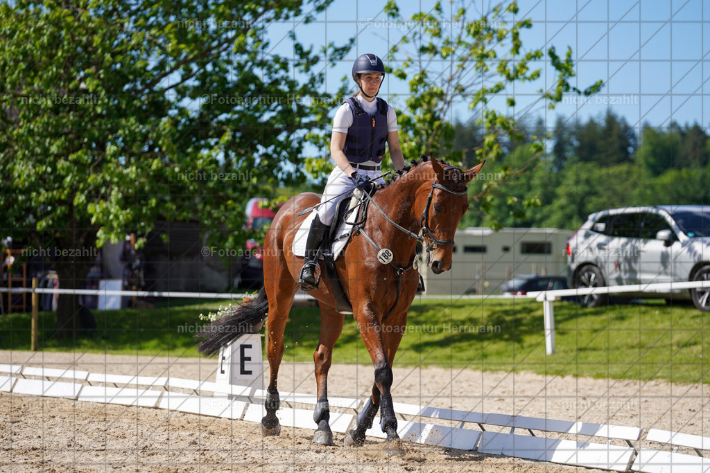 20240518-FAH03147 | rbilder, Turnierfotografen ayern, Fotoagentur Herrmann, Geländeturnier, Springbilder, Dressurbilder, Jungpferdefotograf
