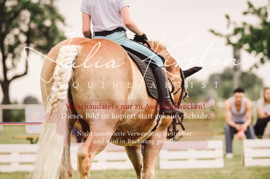 DSC_5243 | Pferde- und Turnierfotografie in Westsachsen. Pferdeportraits, Auftragszeichnungen und intuitive Kunst.
