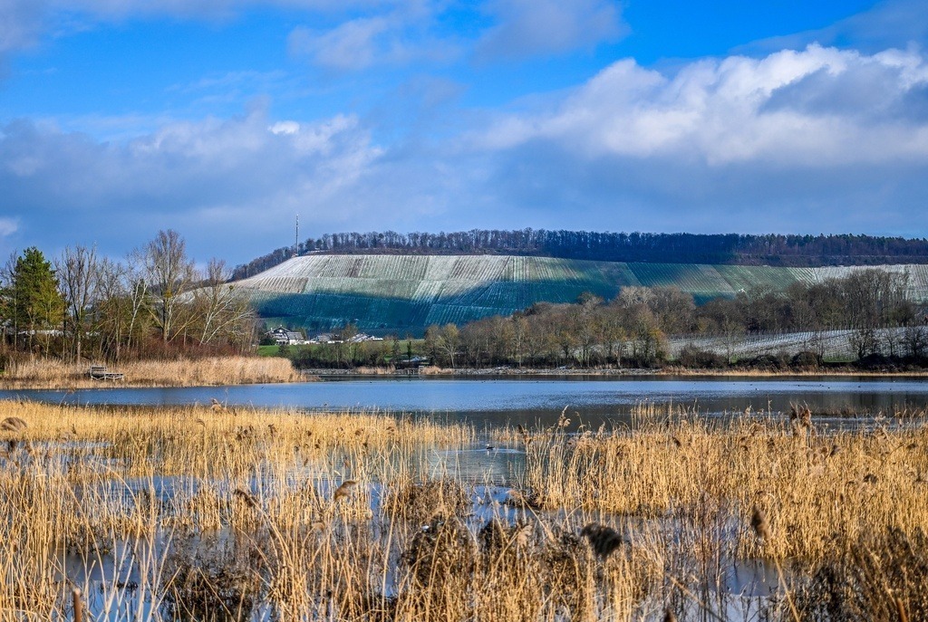 PSX_20250604_105239-02 | Kaufen sie online außergewöhnliche Fotografien auf Leinwand Acrylglas Fotoprint Aludibond von holgerweigeltfotografie - Realisiert mit Pictrs.com