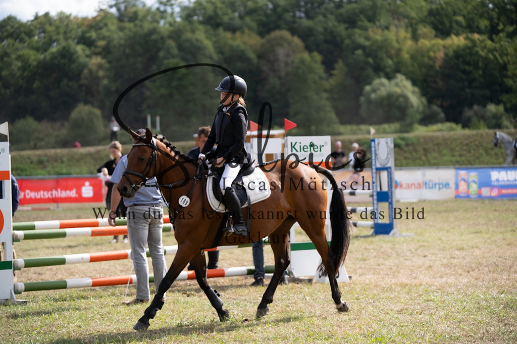 A7V08685 | Pferdefotograf