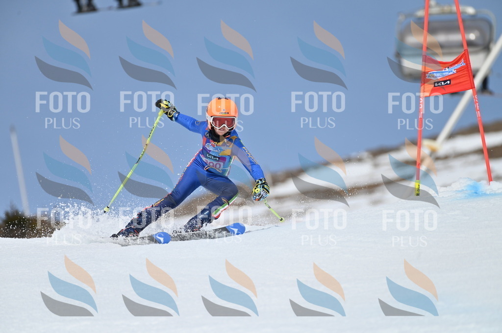 BGV_2597 | holidayphoto