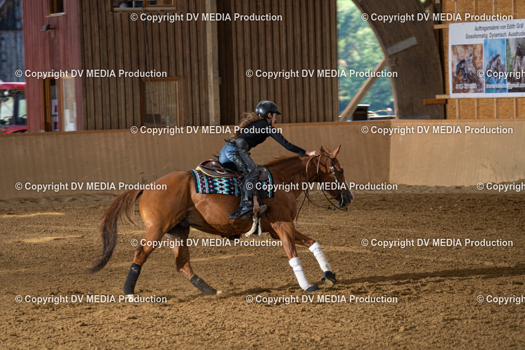 DSC00023 | dv-media-shop - Realisiert mit Pictrs.com