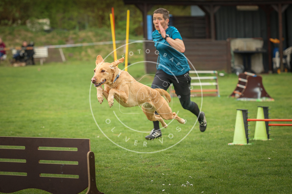 Pfotenfotografie_0L8A0592 | Hundefotografie, Tierfotograf, Pfotenfotografie, Fotoshooting Hund, Hunde Portrait, Hundesport, Hundeportraits, Heideshooting, Hunde, Sportfotograf, Hundefotograf, Turnierhundsport, THS,  - Realisiert mit Pictrs.com