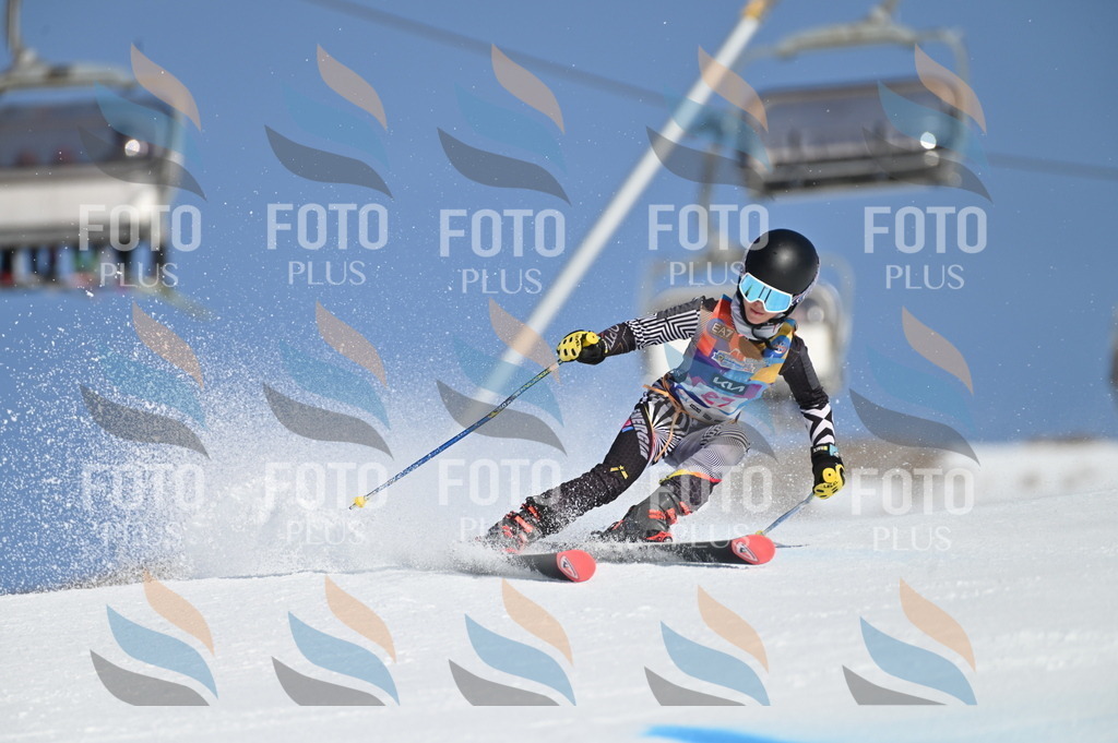 BGV_8086 | holidayphoto