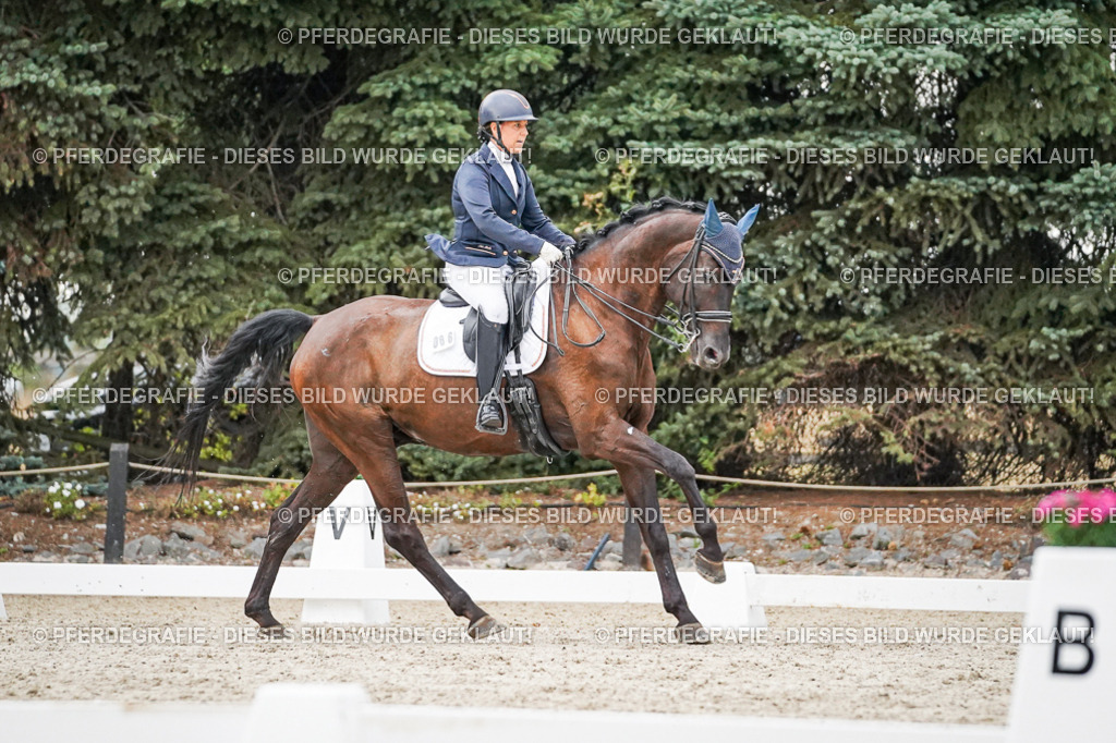 DSC09583 | Pferdegrafie