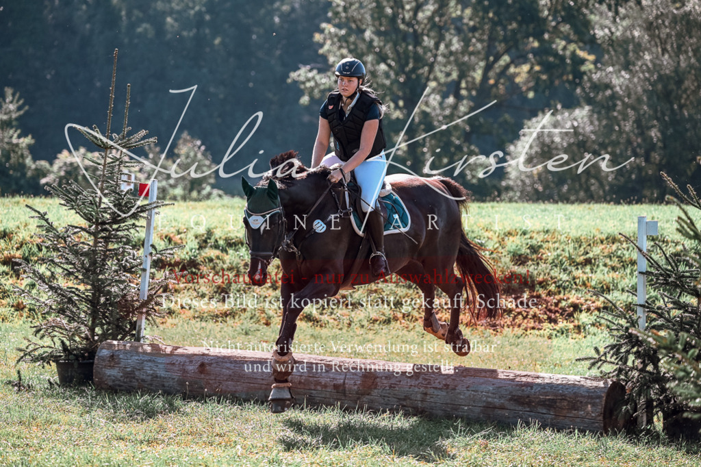 DSC_0897 | Pferde- und Turnierfotografie in Westsachsen. Pferdeportraits, Auftragszeichnungen und intuitive Kunst.