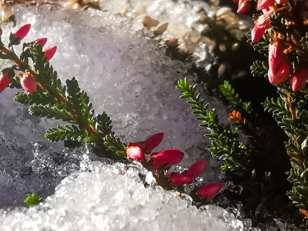 PSX_20230110_223734 | mtkfoto_ - Realisiert mit Pictrs.com