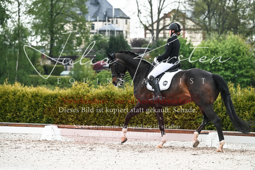 DSC_4331 | Pferde- und Turnierfotografie in Westsachsen. Pferdeportraits, Auftragszeichnungen und intuitive Kunst.