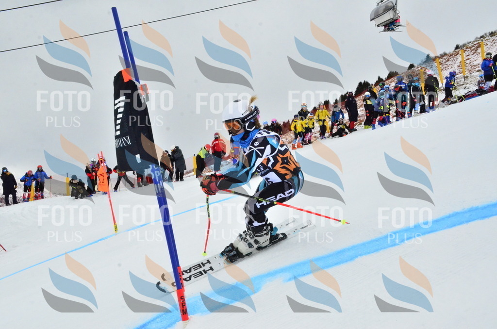 _ELE3308 | holidayphoto