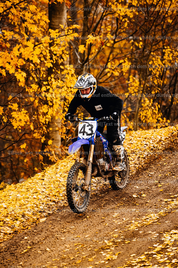 E68A4234 | blick_win_kel