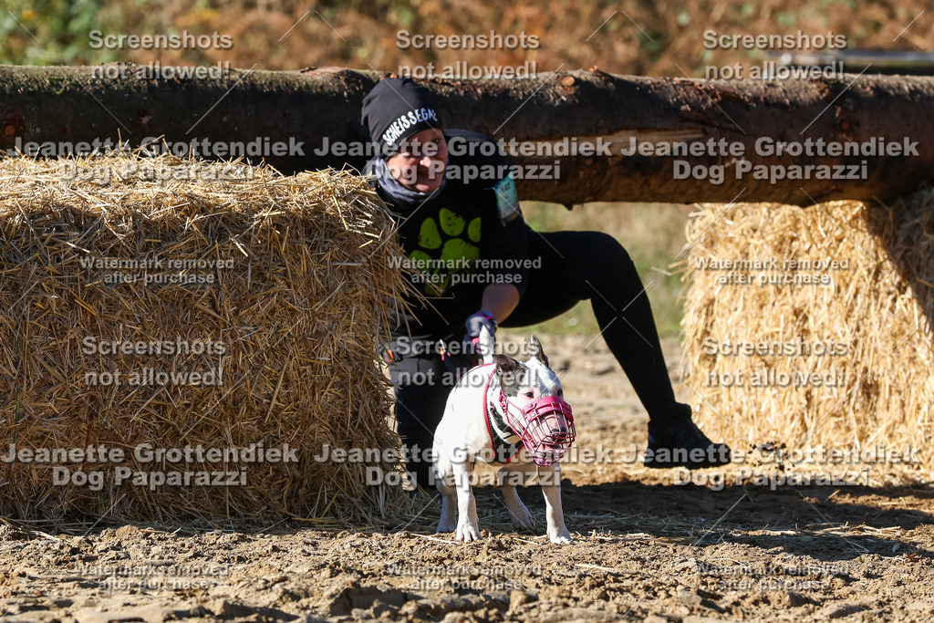 Dog Paparazzi - Strongdog 10-25-2267 | Dog Paparazzi Jeanette Grottendiek Fotografie & Videografie - Realisiert mit Pictrs.com