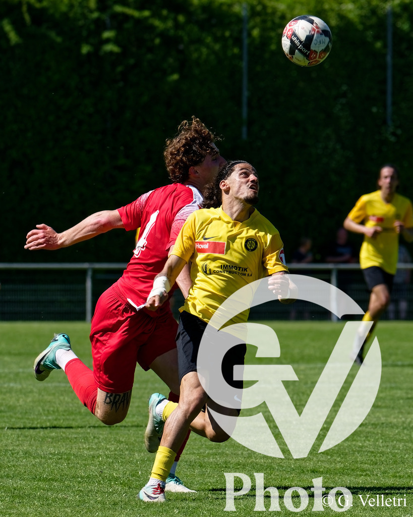 DSC_8021 | Velletri Photo