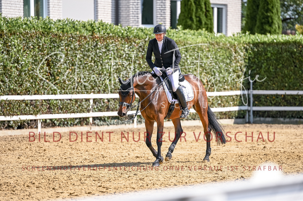 Schugtsche-Aluta25-52.Dressurprf.M2Kand-512 | Schugtsche Fotografie - Realisiert mit Pictrs.com