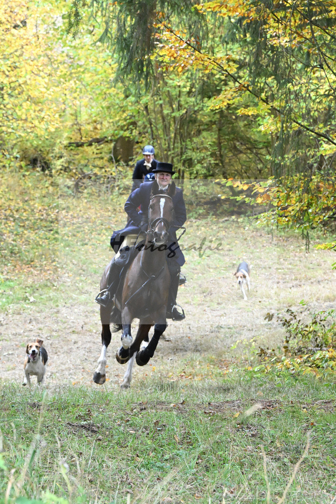 5622620 | hf-fotografie - Realisiert mit Pictrs.com