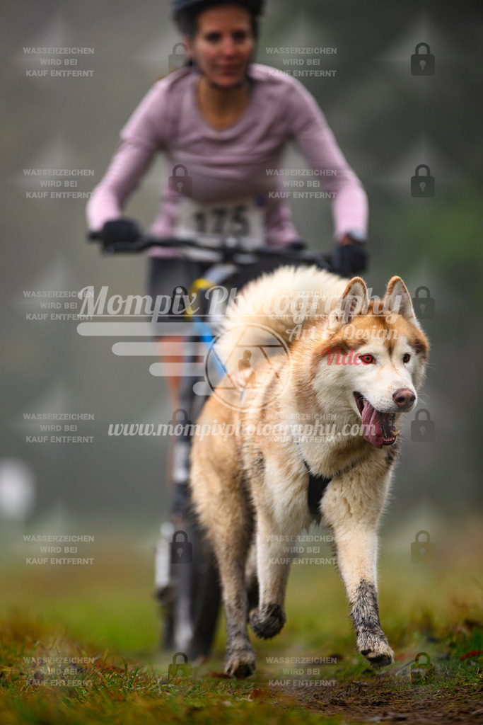 MompixPhotography_Bischwiller2025_Scooter-65 | mompixphotography