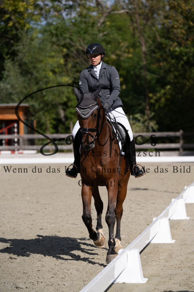 A7V07024 | Turnier/Reitfotograf