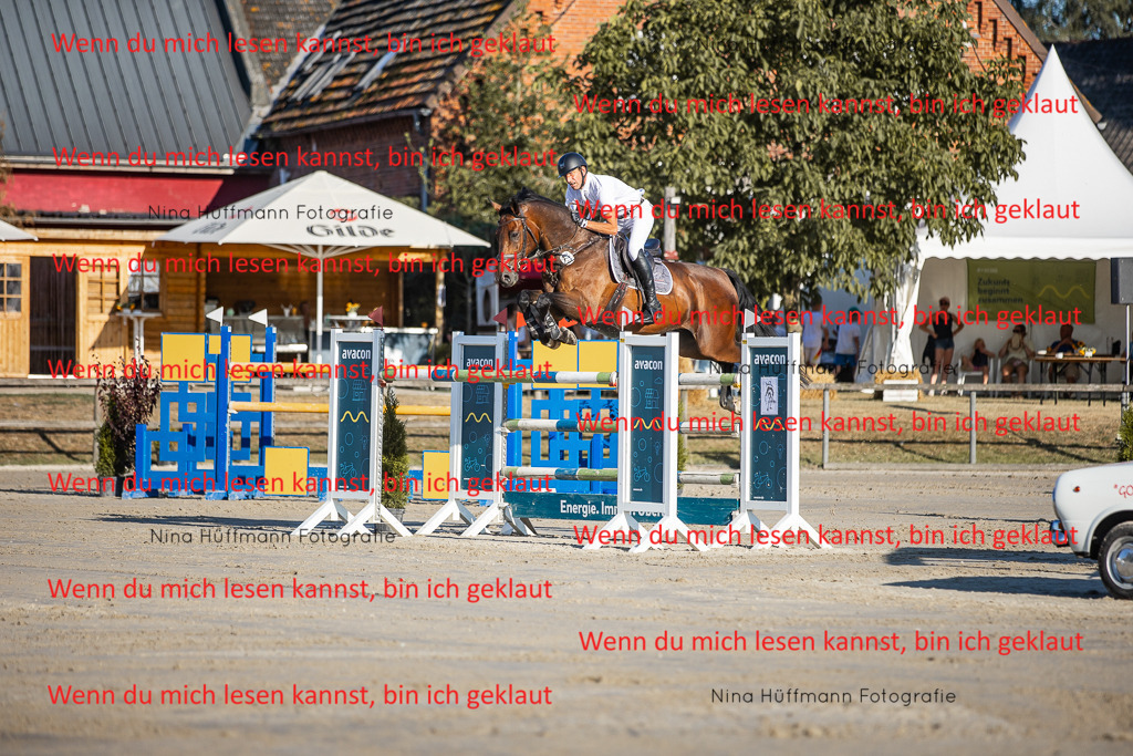 BK1A8767 | Turnierbilder Turnierfotos Nina Hüffmann Turnierfotografie Pferdefotografie Tierzeichnung Haustierzeichnung Pferdezeichnung Hundezeichnung Videograf  - Realisiert mit Pictrs.com