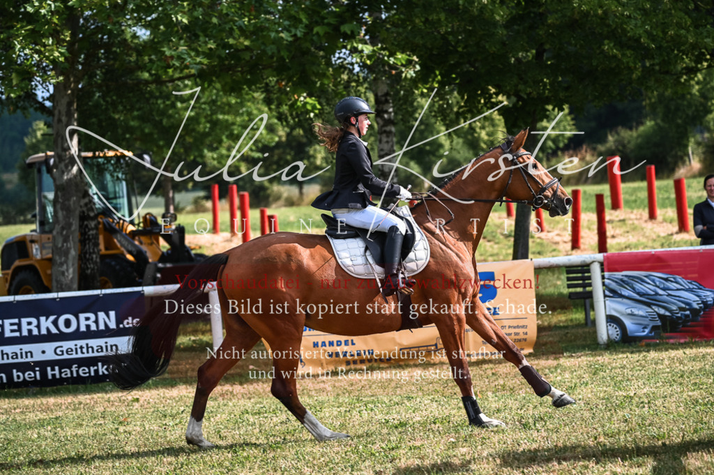 DSC_7691 | Pferde- und Turnierfotografie in Westsachsen. Pferdeportraits, Auftragszeichnungen und intuitive Kunst.