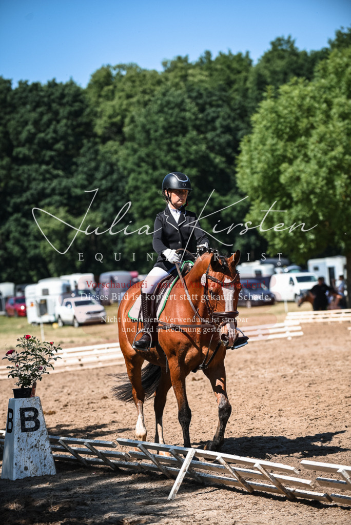DSC_3428 | Pferde- und Turnierfotografie in Westsachsen. Pferdeportraits, Auftragszeichnungen und intuitive Kunst.