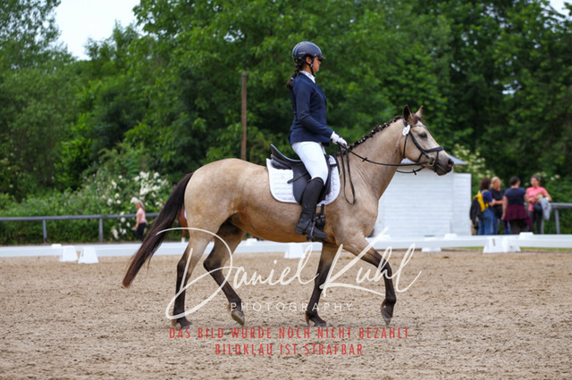 DKP46256 | Turnierfotos kaufen im Webshop von Daniel Kuhl Photography – entdecke professionelle Reitsportfotos aus Turnieren & Events. Hochwertige Turnierbilder online bestellen & sichern. Jetzt Fotos von Reitsportturnieren kaufen!