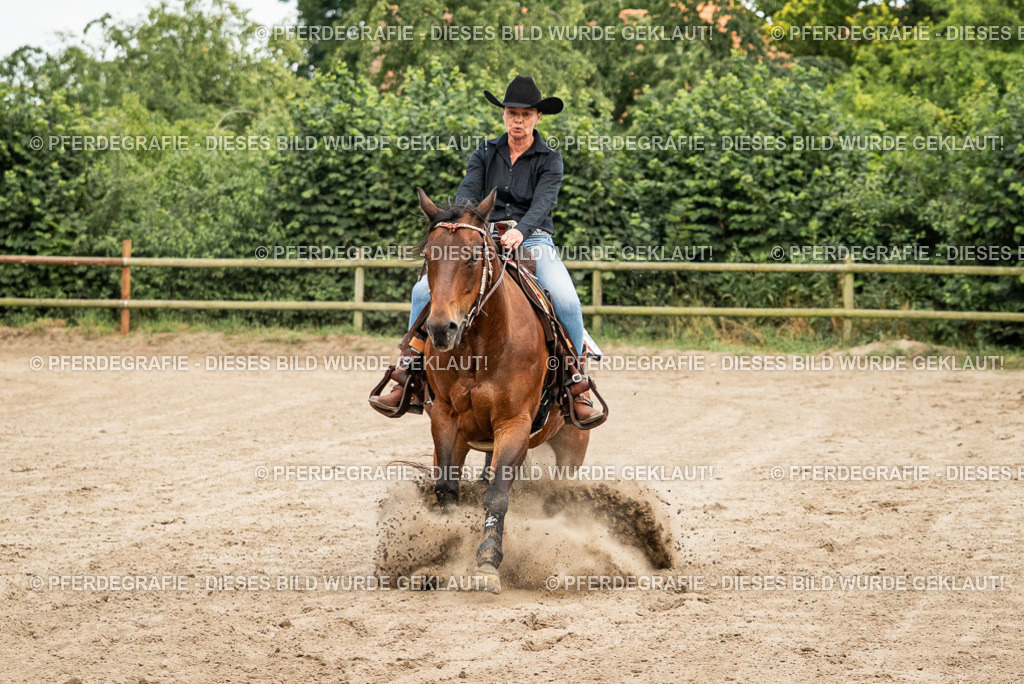 DSC05122 | Pferdegrafie