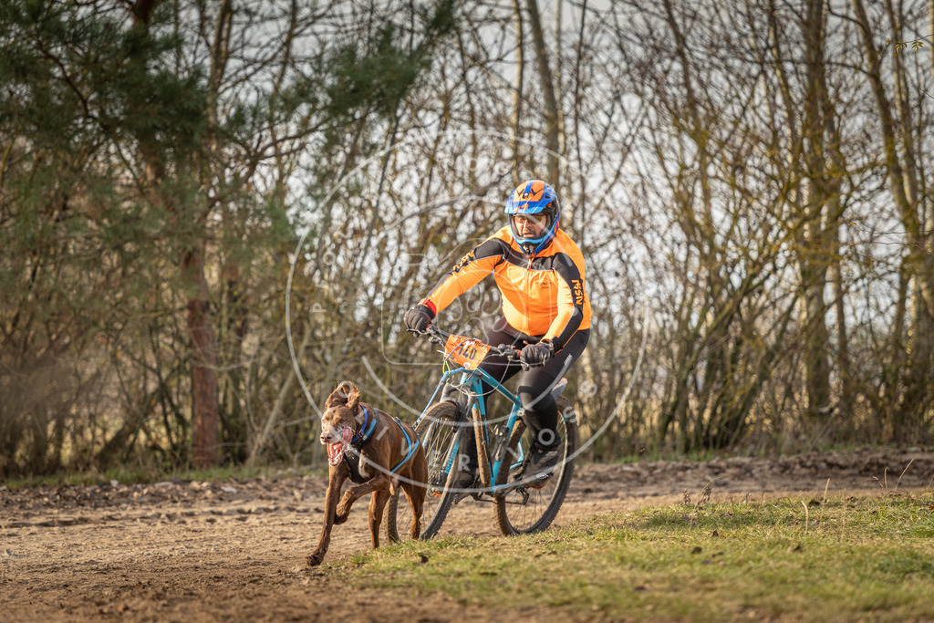 Pfotenfotografie_DV3A8595 | Hundefotografie, Tierfotograf, Pfotenfotografie, Fotoshooting Hund, Hunde Portrait, Hundesport, Hundeportraits, Heideshooting, Hunde, Sportfotograf, Hundefotograf, Turnierhundsport, THS,  - Realisiert mit Pictrs.com