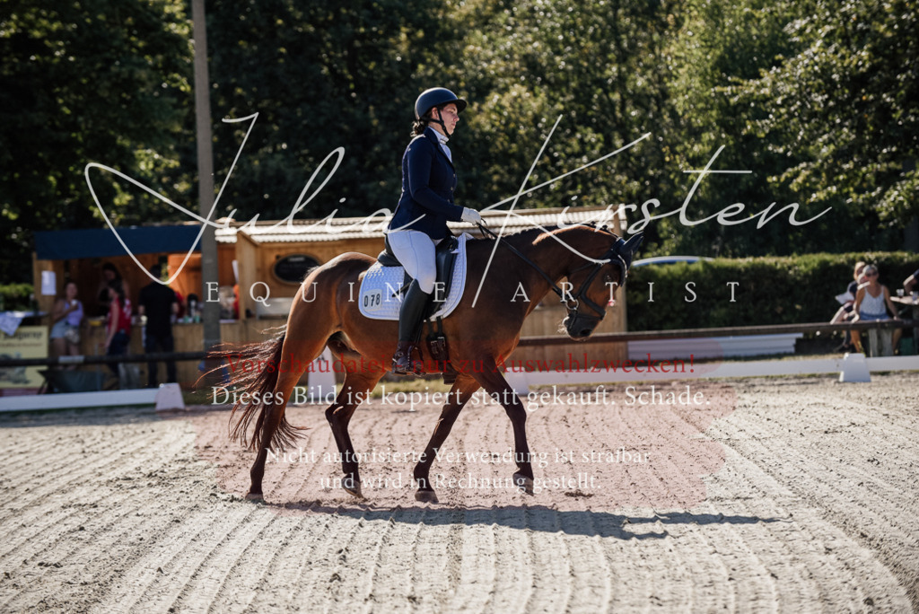 DSC_0261 | Pferde- und Turnierfotografie in Westsachsen. Pferdeportraits, Auftragszeichnungen und intuitive Kunst.