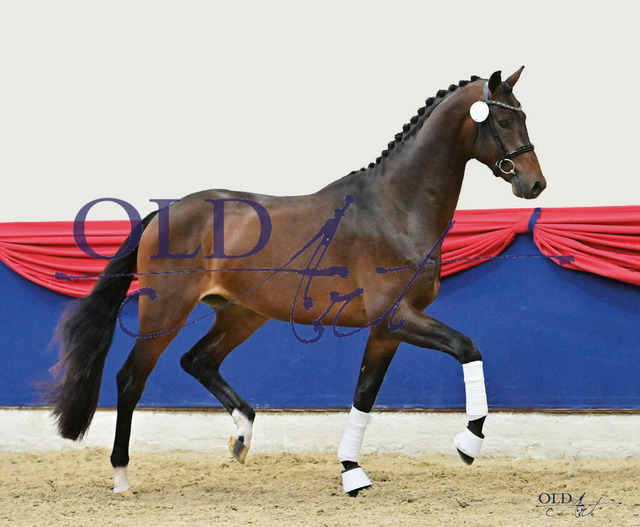 58 NLD003202002280 HM Indian Rock - Amp_re - Jazz | <meta name="description" content="★Offizieller Merchandise und Foto-/Videostore des Oldenburger Verbandes.★ ✅Jetzt auch digital Ausdrucke erhältlich." />
<meta name="keywords" content="Merchandise Foto-/Videostore Oldenburger Verband Photographie 