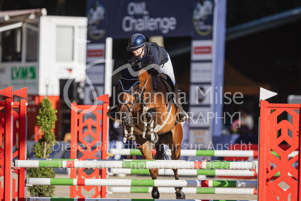 230908_OWLCh_AmateurS-120 | Deine schönsten Turniermomente als professionelle Fotos! Entdecke hochwertige Pferdesport-Fotografie im Online-Shop. Jetzt Fotos finden & bestellen!