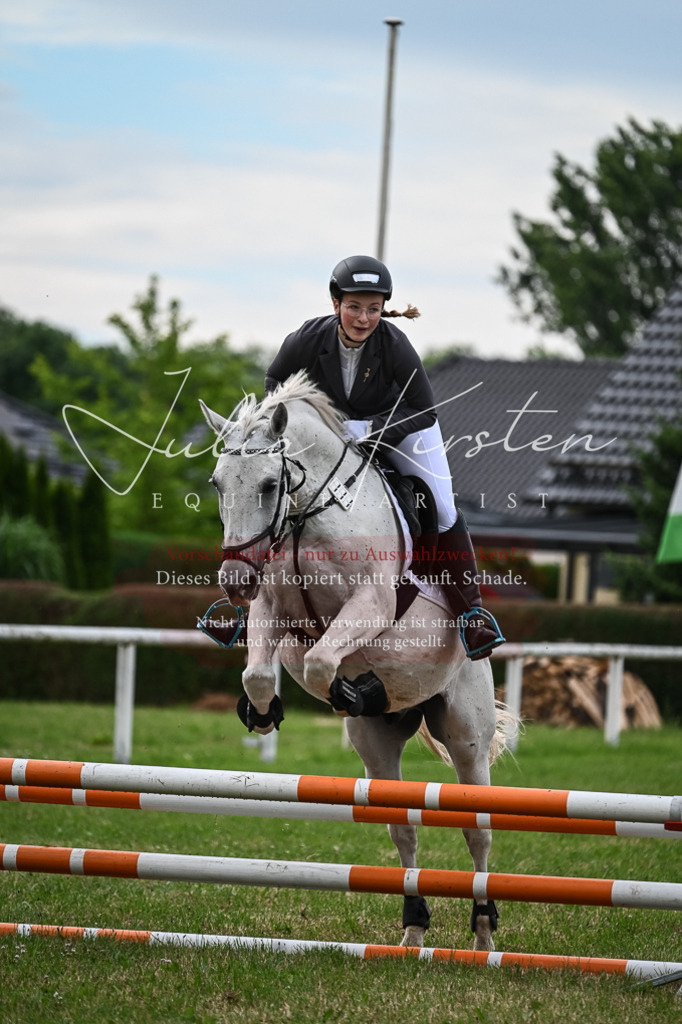 DSC_8630 | Pferde- und Turnierfotografie in Westsachsen. Pferdeportraits, Auftragszeichnungen und intuitive Kunst.
