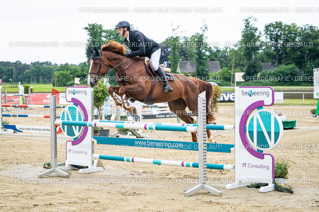 DSC04468 | Pferdegrafie