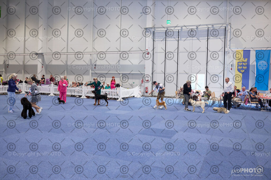 202406_ÖKV-IHA-Tulln24_NZ9_7763 | proPHOTO - Realisiert mit Pictrs.com