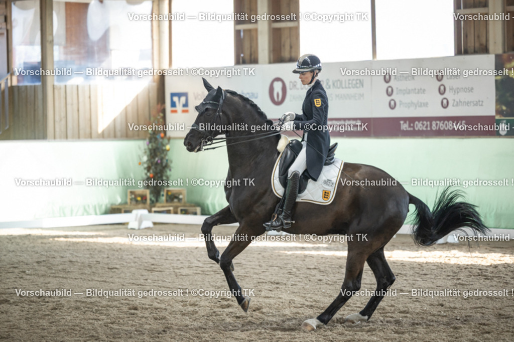 _D5A0304 | Emotionale Pferde- & People-Fotografie rund um Heidelberg, Leimen & Umgebung. Natürliche Fotos von Pferd, Mensch & Familie. Jetzt Termin sichern!