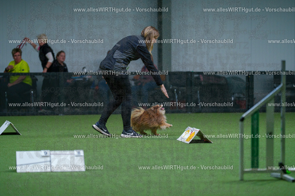 7R501837 | Professionelle Tierfotografie in Mönchengladbach von Daniel Wirth (allesWIRTHgut). Liebevolle & natürliche Bilder von Hunden & Katzen für unvergessliche Erinnerungen.