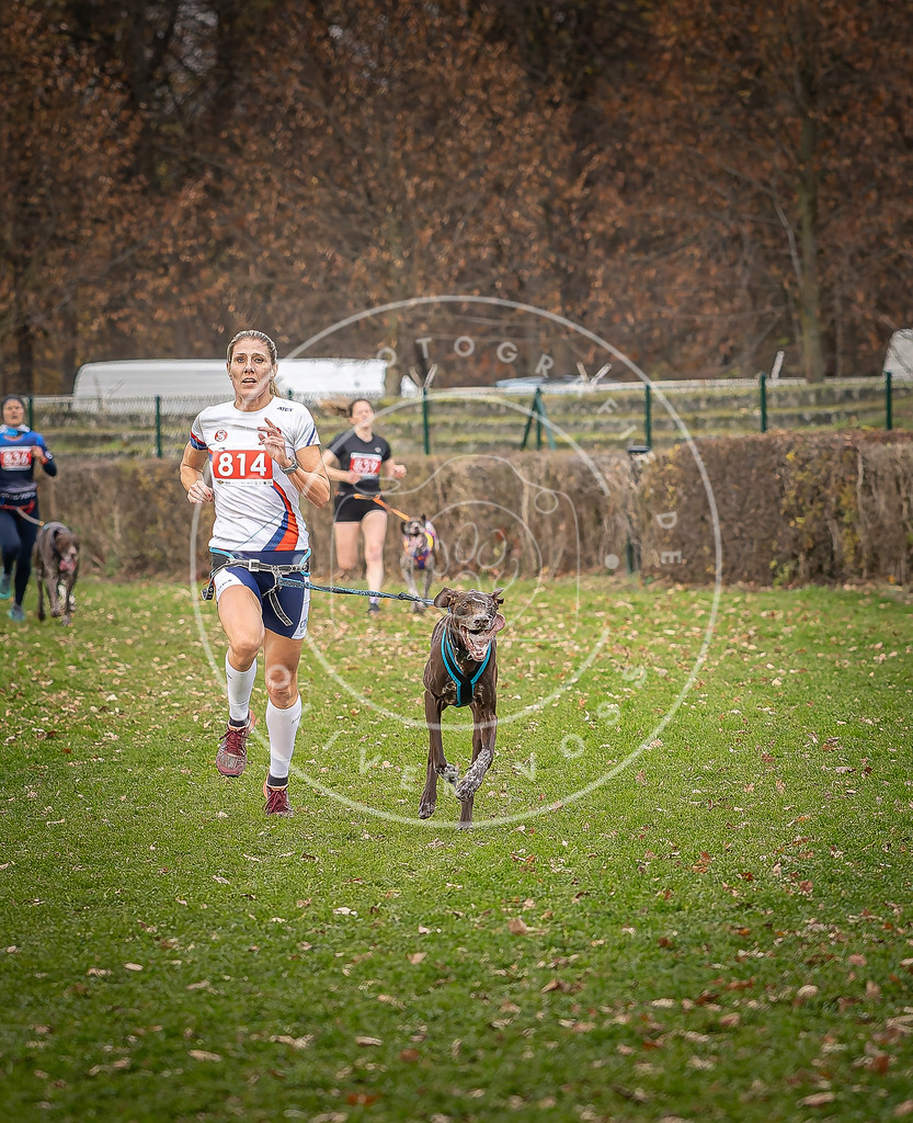 CaniXpix_DV3A6277 | Hundefotografie, Tierfotograf, Pfotenfotografie, Fotoshooting Hund, Hunde Portrait, Hundesport, Hundeportraits, Heideshooting, Hunde, Sportfotograf, Hundefotograf, Turnierhundsport, THS,  - Realisiert mit Pictrs.com