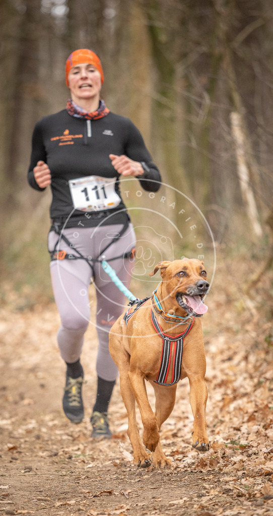 Pfotenfotografie_DV3A7697 | Hundefotografie, Tierfotograf, Pfotenfotografie, Fotoshooting Hund, Hunde Portrait, Hundesport, Hundeportraits, Heideshooting, Hunde, Sportfotograf, Hundefotograf, Turnierhundsport, THS,  - Realisiert mit Pictrs.com