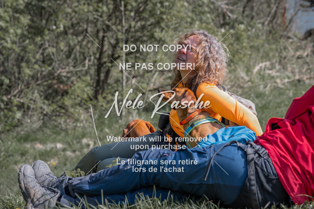 NR__0093 | nelerasche