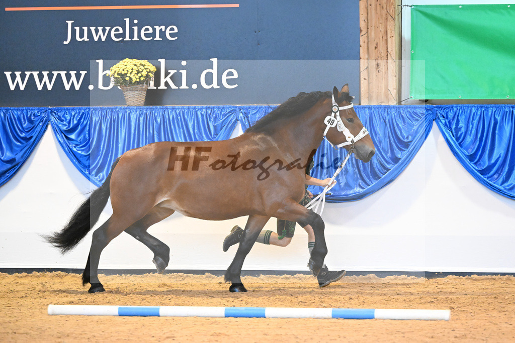 Kat-Nr. 49 Finerl_Rasshofer_53220062 | hf-fotografie - Realisiert mit Pictrs.com