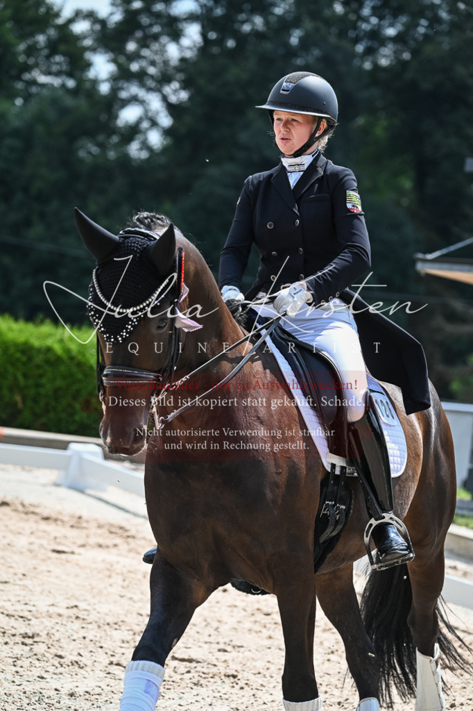 DSC_2674 | Pferde- und Turnierfotografie in Westsachsen. Pferdeportraits, Auftragszeichnungen und intuitive Kunst.