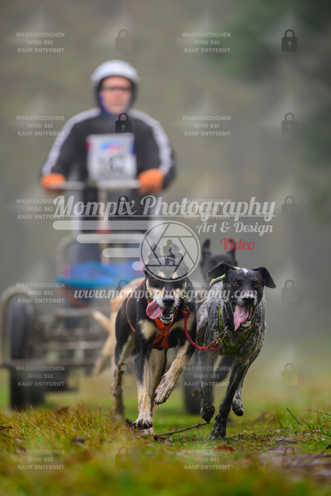 MompixPhotography_Bischwiller2025_Kart-24 | mompixphotography